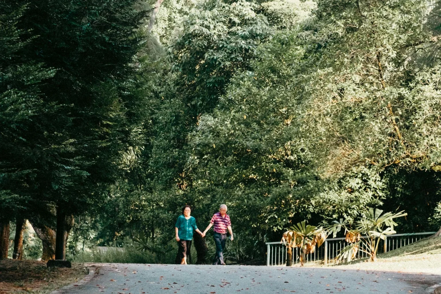 Senior couple walking together in a green park, illustrating mobility after knee replacement
