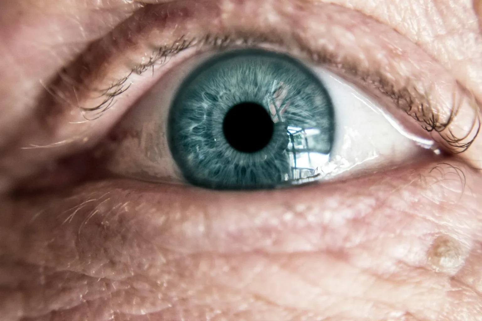 High-resolution close-up of a blue eye surrounded by skin folds and fine details.