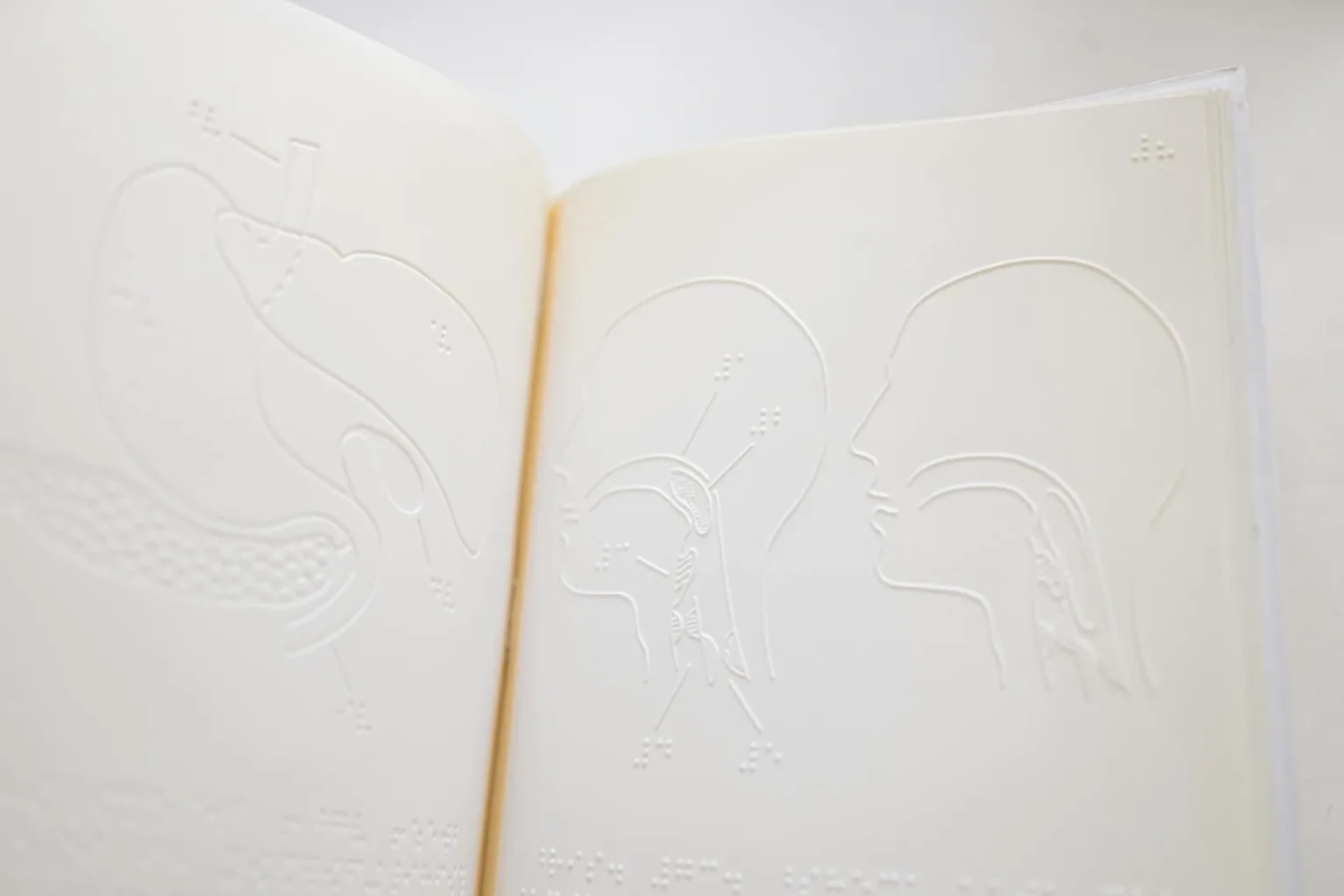 Detailed close-up of embossed anatomy diagrams on an open braille book page.